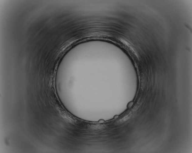 X0000093591017200710151013