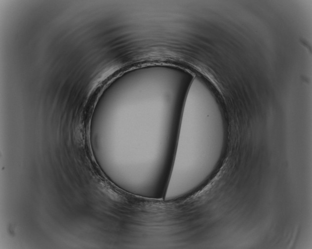 X0000093591018200710151013