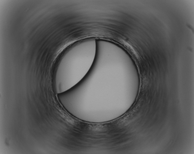X0000093591019200710151013