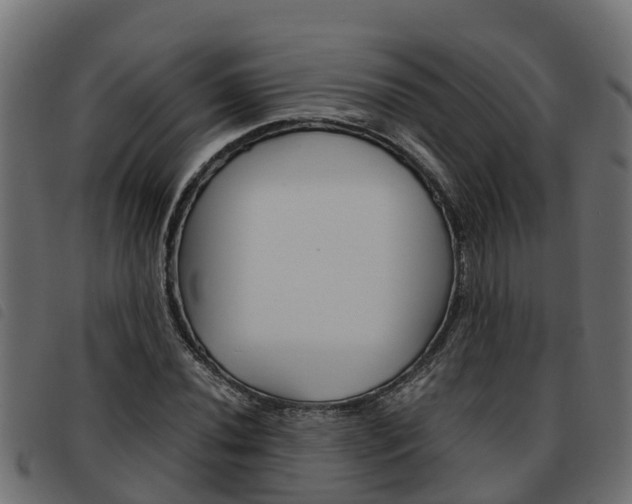 X0000093591020200710151013
