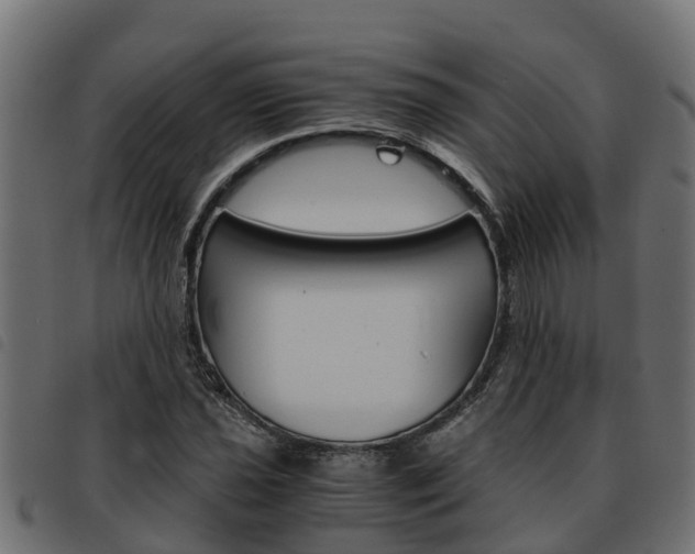 X0000093591021200710151013