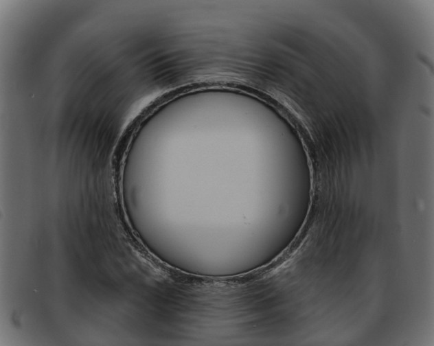 X0000093591022200710151013