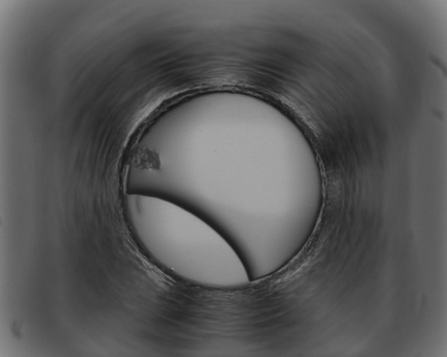 X0000093591023200710151013
