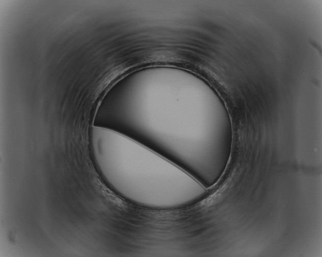 X0000093591025200710151013