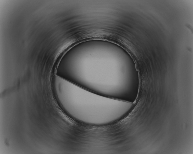 X0000093591026200710151013