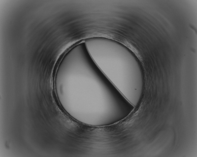 X0000093591028200710151013
