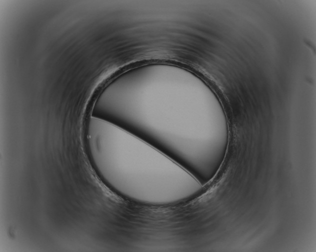 X0000093591029200710151013