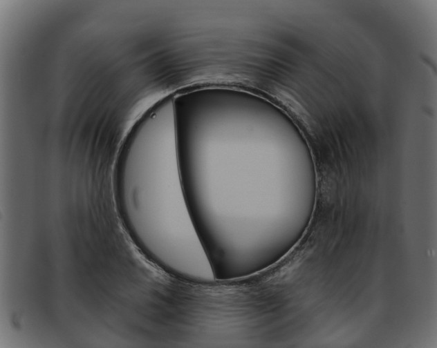 X0000093591030200710151013