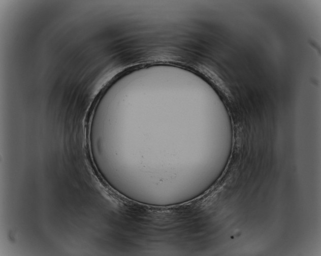 X0000093591031200710151013