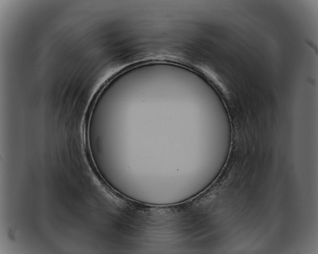 X0000093591032200710151013