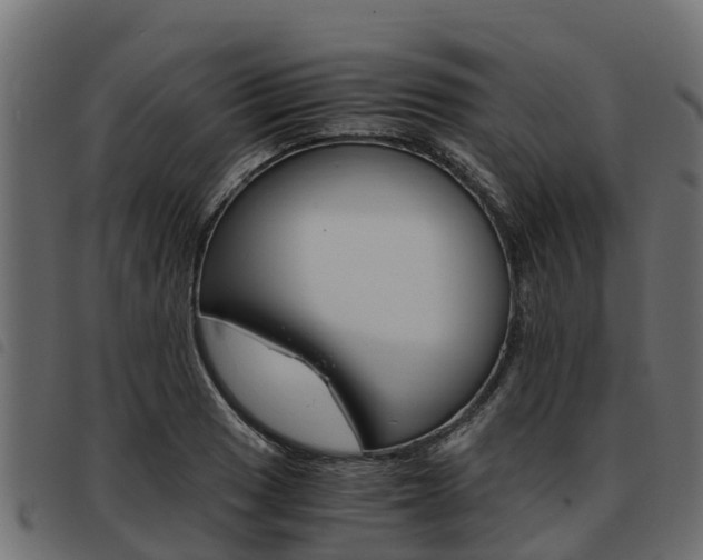 X0000093591033200710151013