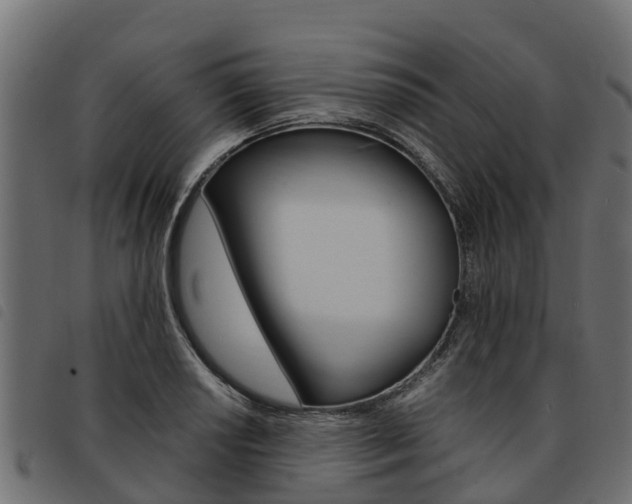 X0000093591034200710151013