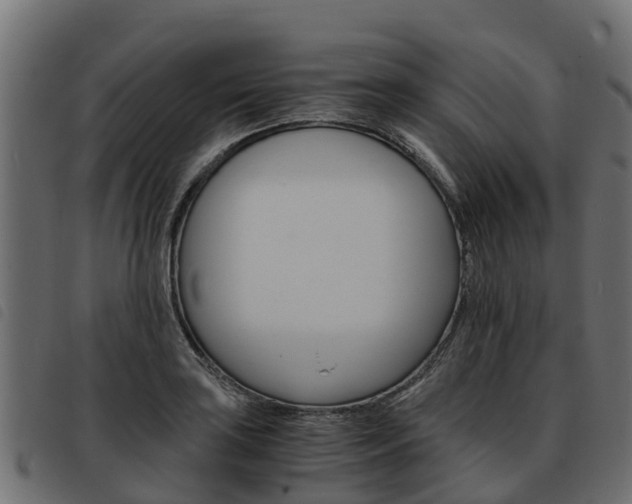X0000093591035200710151013