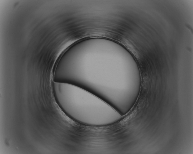 X0000093591036200710151013