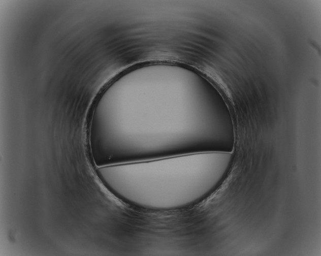 X0000093591037200710151013