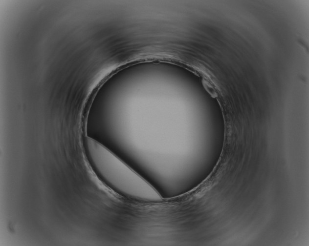 X0000093591038200710151013