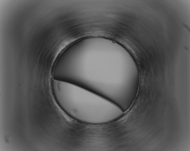 X0000093591040200710151013