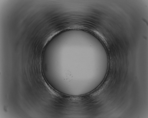 X0000093591041200710151013