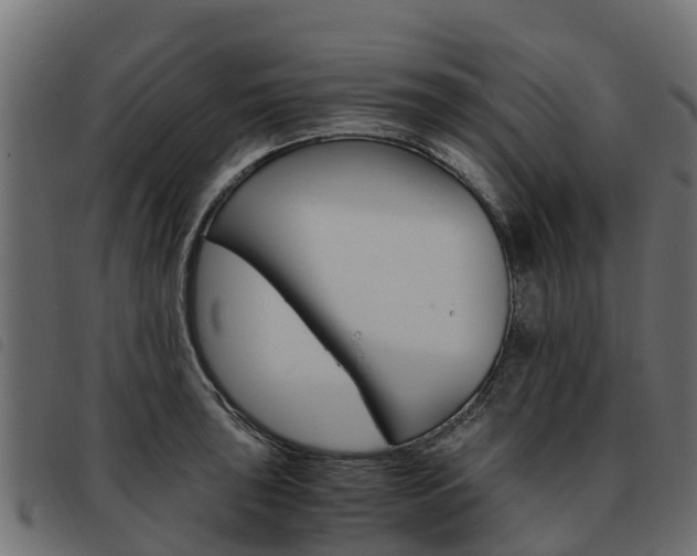 X0000093591043200710151013