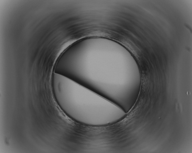 X0000093591044200710151013