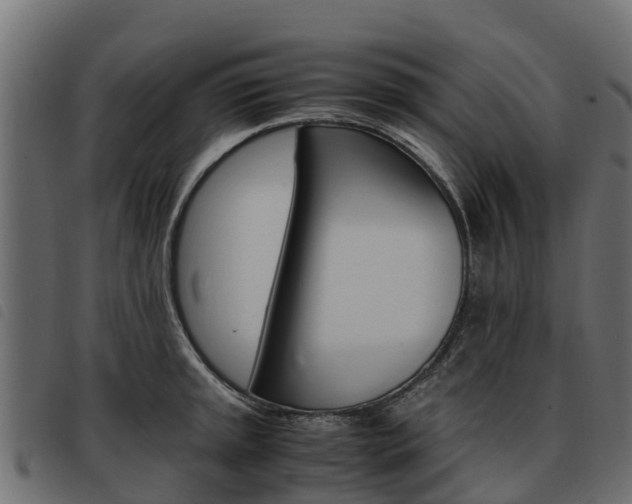X0000093591045200710151013