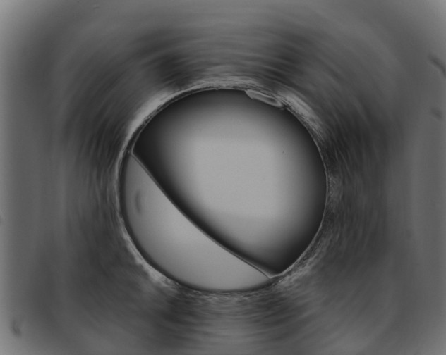 X0000093591046200710151013