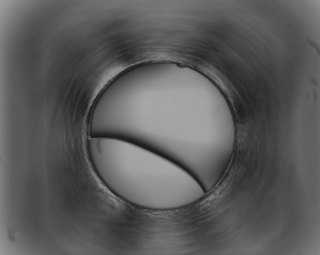 X0000093591048200710151013
