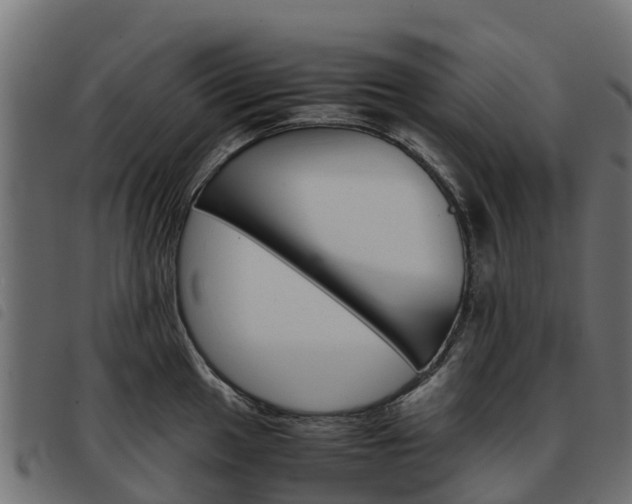 X0000093591049200710151013
