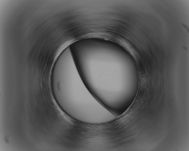X0000093591050200710151013