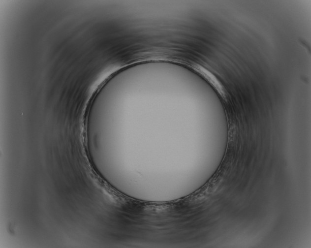 X0000093591051200710151013