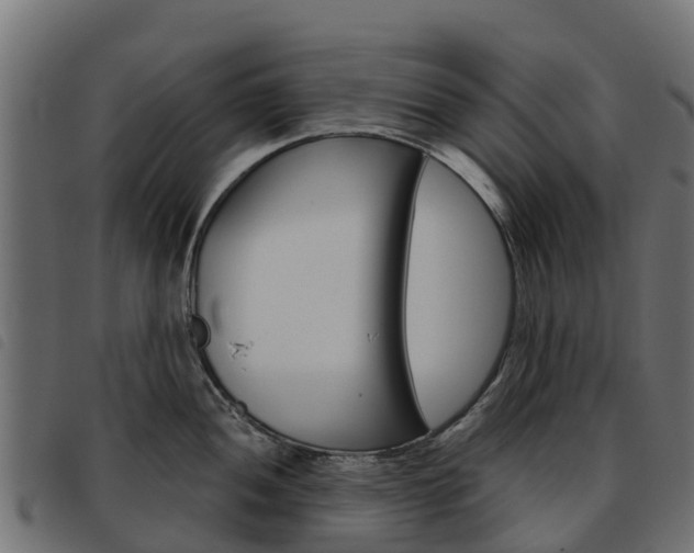 X0000093591052200710151013