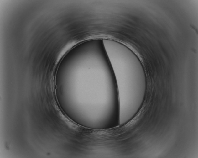 X0000093591054200710151013