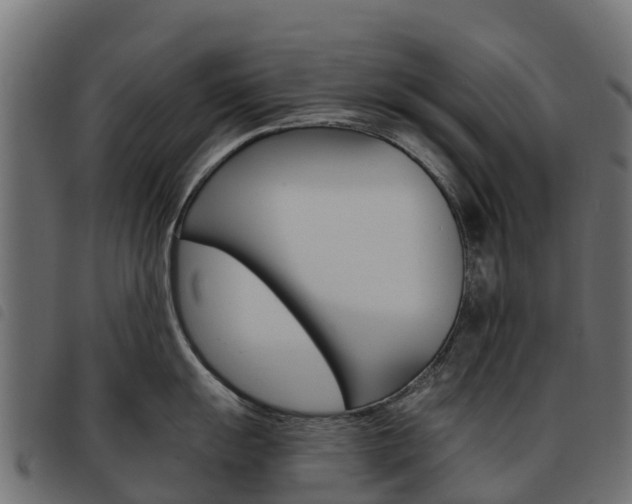 X0000093591055200710151013