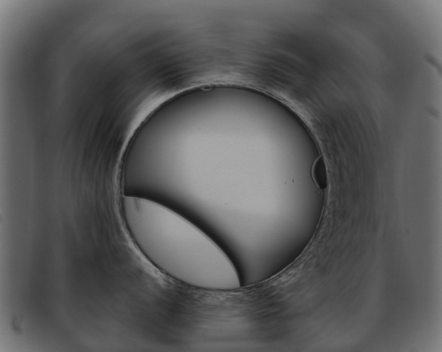 X0000093591056200710151013