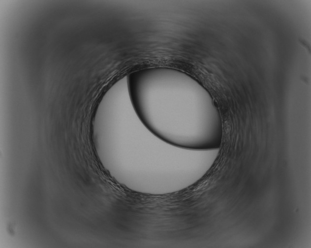 X0000093591057200710151013