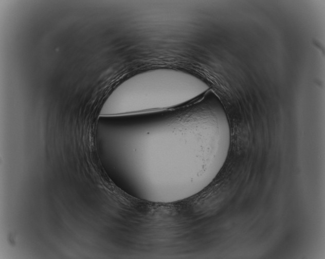 X0000093591058200710151013