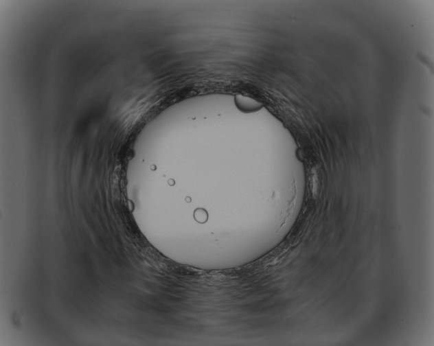X0000093591059200710151013