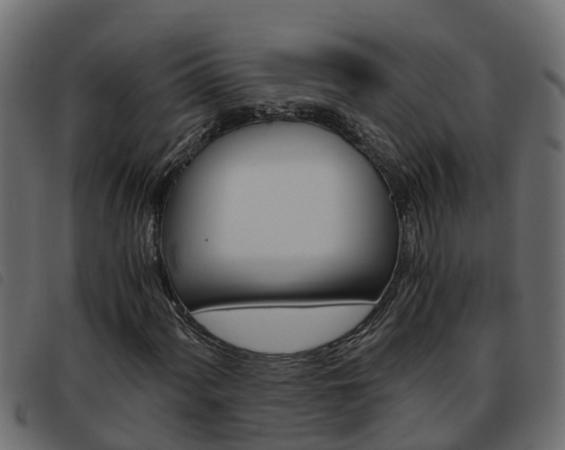 X0000093591060200710151013