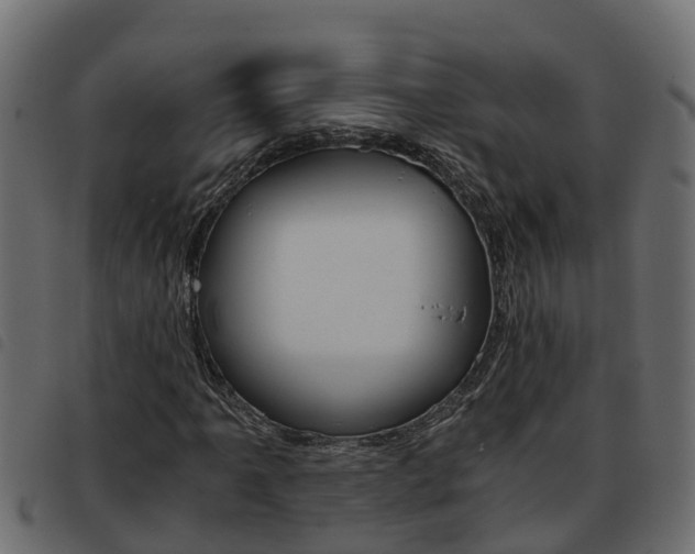 X0000093591061200710151013