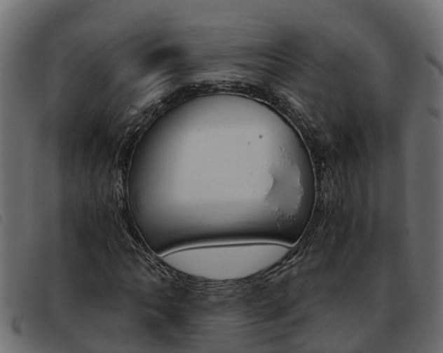 X0000093591062200710151013