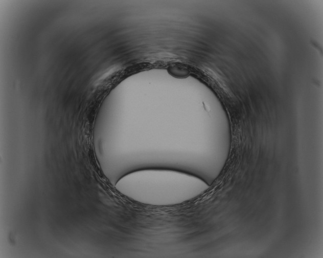 X0000093591063200710151013