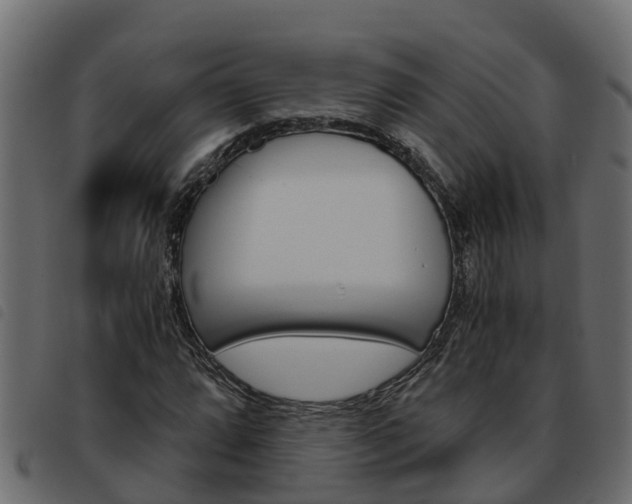 X0000093591064200710151013
