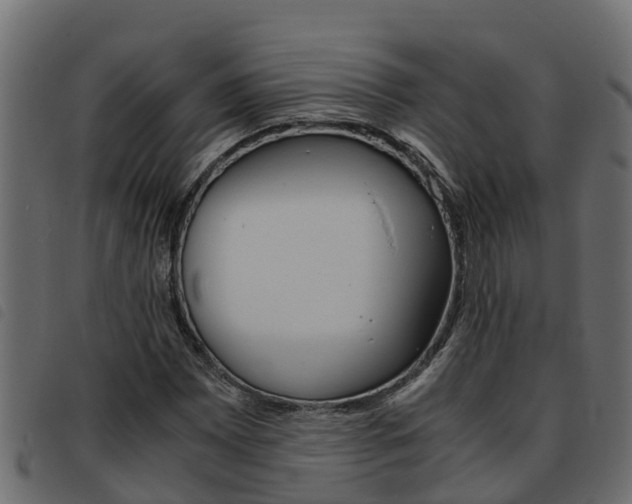 X0000093591065200710151013