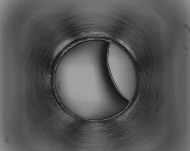 X0000093591066200710151013