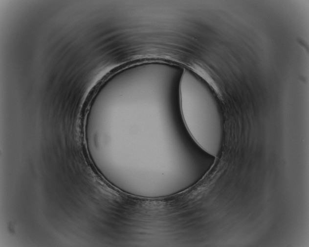 X0000093591068200710151013