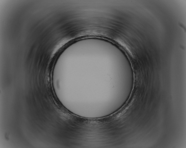 X0000093591070200710151013