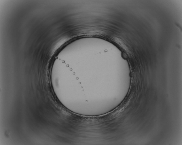 X0000093591071200710151013