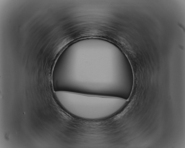 X0000093591073200710151013