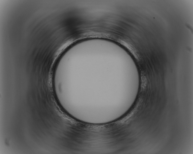 X0000093591074200710151013