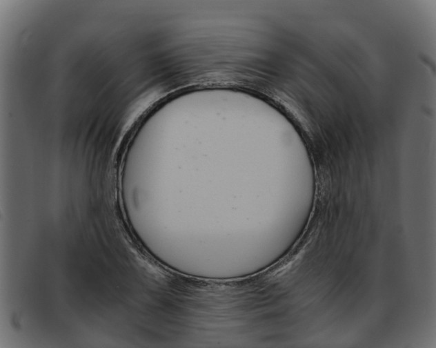 X0000093591075200710151013